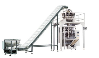 大劑量流體包裝機(jī) 全自動(dòng)液體包裝解決方案的視覺(jué)盛宴