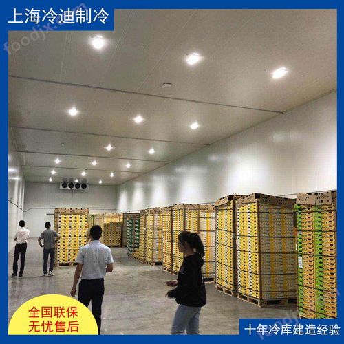 食品廠大型冷庫的安裝造價、設計與軟件開發全解析